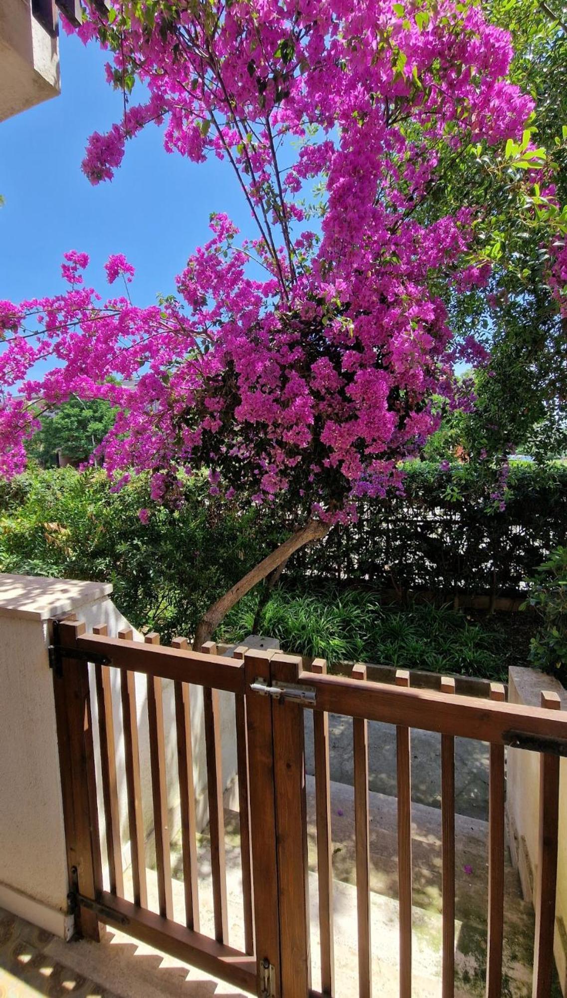 Europe Alguerhouse Apartment Exterior photo