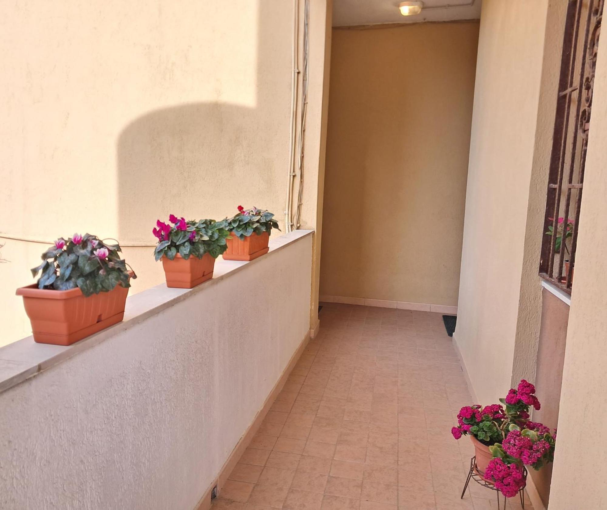 Europe Alguerhouse Apartment Exterior photo